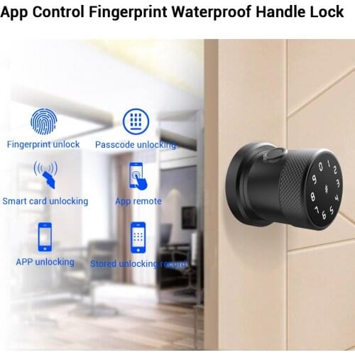Bluetooth Fingerprint Door Lock Smart Lock Porta Doorlock Electronic Keyless Wireless APP Remote Control Unlocked Smart Phones