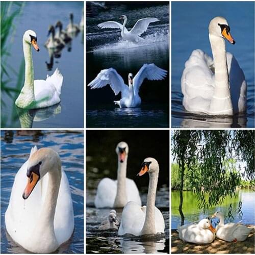 DIY Diamond Painting Swans In Beautiful View Full Square Drill Diamond Embroidery Swan Animal Rhinestones Pictures Crafts Kit