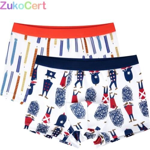 ZukoCert Men's Briefs