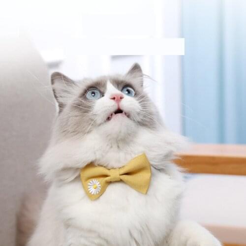 Bowknot Cats Collars with Bells Solid Color Kitten Necklace Puppy Chihuahua Bow Tie Adjustable Cat Rabbit Collar Pets Supplies