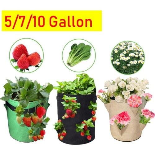 Potato Grow Bag Garden Outdoor Planter Container Bags Vertical Planting Grow Bag For Strawberry Flower Herb Pots 5 7 10 Gallon