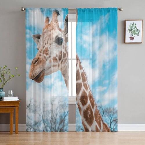 Giraffe Blue Sky Sheer Curtains for Living Room Bedroom Kitchen Chiffon Tulle Curtains Home Hotel Coffee Decor