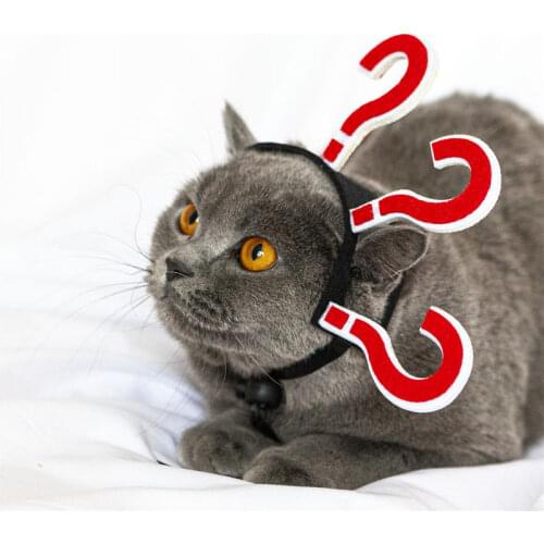 Cat accessories Pet Funny Hair