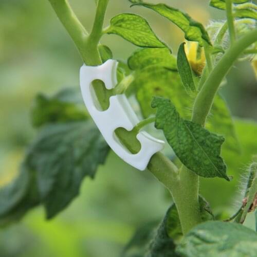 50PCS Vegetables Tomato Fixing Clips to Prevent Bending Support Clamp Fruit Flower Green Plant Seedling Reinforcement Clips