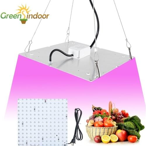 Indoor Phytolamp For Plants 500W 1000W Full Spectrum LED Grow Light Phyto Lamp Red And Blue Plant Lights Grow Tent For Flowers