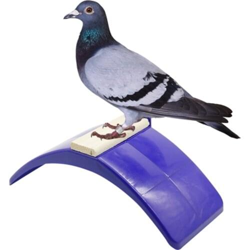 2 Pcs Birdcage Stands Pigeon Perch Plastic Heat Resistance Dove Rest Roost Bird Stand Holder Supplies
