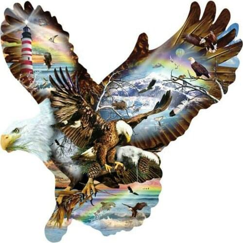 Diamond painting Eagle Man Square / round diamond art handmade art