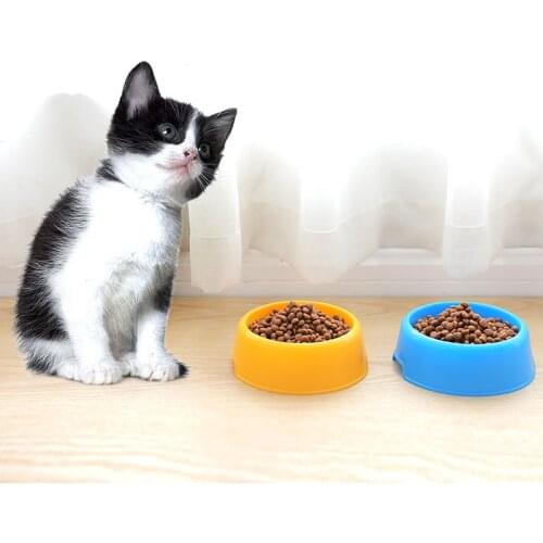 1 Pcs Dog Bowl Plastic Travel Cat Dog Bowls Feeding Feeder Water Bowl for Pet Dog Cat Puppy Food Bowl Water Dish