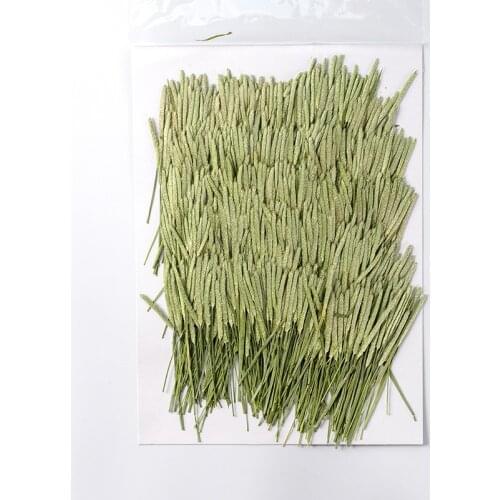 120pcs Pressed Dried Flower Grass Ear Stick Plant Herbarium For Nail Art Jewelry Bookmark Phone Case Invitation Card DIY
