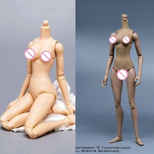 1/6 Scale Female Girl Body Middle Breast Flexible Body Fish Sitting Nude Action Figure Collectible Doll Toys for Kumik Head