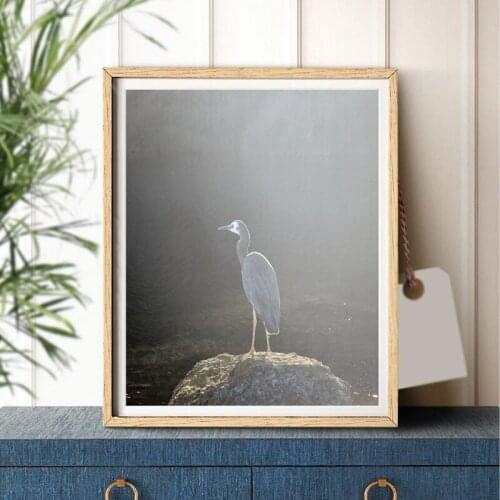 Animal Bird Poster Prints Large Wall Art Birds Modern Photography Canvas Painting Picture for Living Room Home Decor
