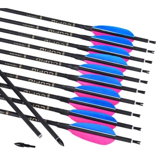33inch Archery Mixed Carbon Arrow Turkey Feathers Arrows Spine 500-600 with Durable Shaft Blunt Tip Hunting