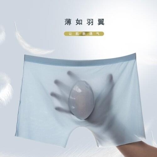 Hot Underwear Men Ice Slik Homme Brand Underpants Male Panties Breathbale Shorts U Convex Pouch Plus Size L-4XL