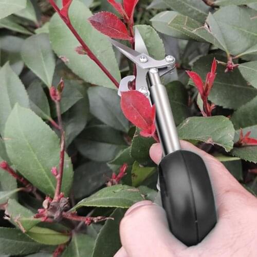 1 Piece Horticulture Pruner Cut Garden Plant Trimming Scissor Tool Branch Shear Orchard Pruning Shears Gardening Supplies