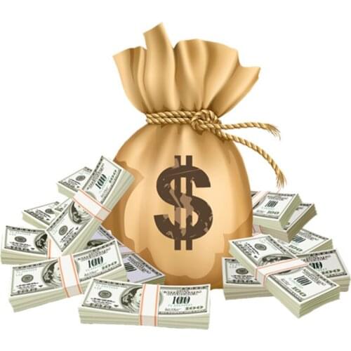 Extra Fee ( Shipping/Package )