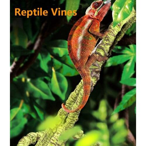 Украшения для аквариумов LightenMart China At AliExpress