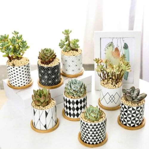 Modern Geometric Pattern Flower Succulent Plant Pot Simple Black White Ceramic Vase Desktop Creative Indoor Decoration