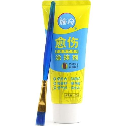 100g Tree Wound Bonsai Cut Paste Smear Agent Pruning Compound Sealer with Brush L4MB