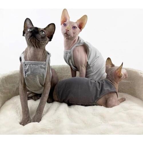 Cat Clothe T-shirt Hairless Cat Cotton Vest Summer Sling Anti-allergic Air-conditioned Room Mutual Belly Short-footed Sphinx