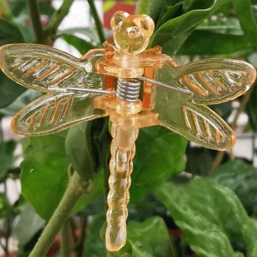 30pcs/lot Dragonfly Orchid Clips Orchid Grower Support Cute Garden Plant Flower Vine Support Clips 3.5x3.5cm