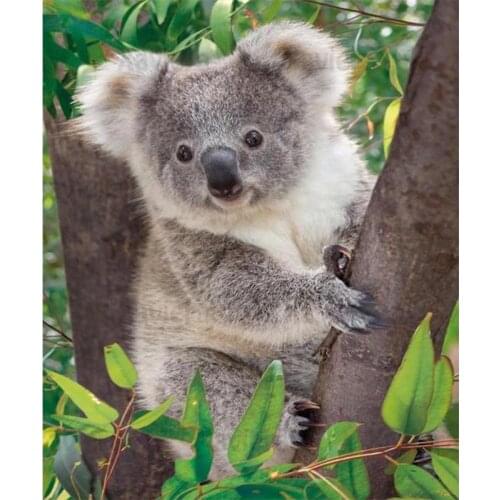 DIY Diamond Painting Koala Hugging Tree Cross Stitch Mosaic Rhinestones Cute Animal Diamond Embroidery Bedroom Home Decor Gift