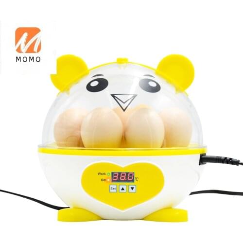 One Full Smart Automatic Mini Chicken Egg Incubator Approved Cheap Price for Sale