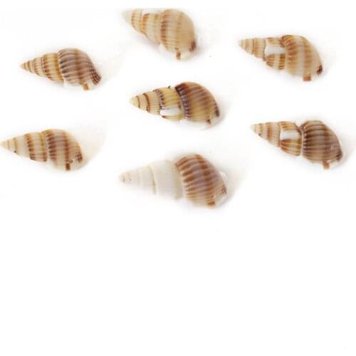 50Pcs Natural yellow Seashells Craft DIY Scrapbooking One Hole Spiral Shells Handmade For Glass Bottle Home Decora