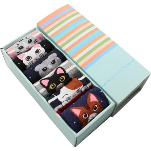 2021 Fashion women cartoon socks gift box 6pairs/pack autumn-winter cat paws striped sock ladies and womans funny cotton sock
