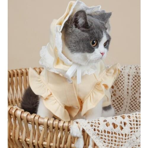 Thin Summer Hoodie Cat Shedding Vest Sleeveless Vest Cat Suit With Hat Spring Clothing For Cats Small Dogs Pet Clothes Chihuahua