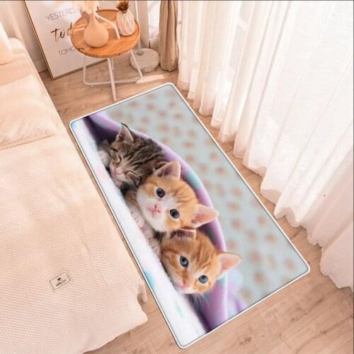 Kitchen Carpet Cute Pet Bedroom Entrance Doormat Bathroom Antislip Tapis Home Long Cat Dog Floor Mats Decoration Living Room Rug