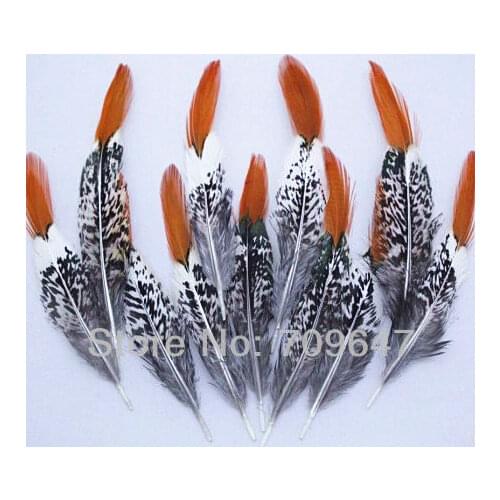 100Pcs/Lot 10-15cm 4-6inches Loose Nature Orange RED TIPPED LADY AMHERST PHEASANT FEATHERS,Earrings feathers Millinery Jewelry