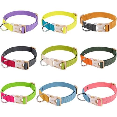 Multicolor Dog Collar Personalized Adjustable Pure Color Pet Collars Cat Collar Durable Transparent Plastic Buckle Dogs Necklace