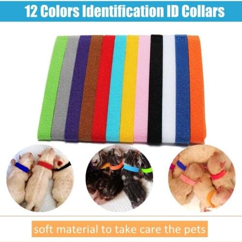 12PCS/SET puppy Newborn Identify ID Collars and kitten identification ID collar baby dog and baby cat necklace