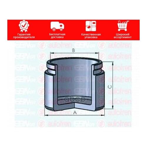 Seinsa Autofren Piston Rings