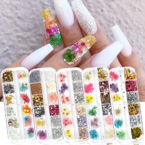 12 Grid Dried Flower Leaf Nail Decoration 3D Natural Floral Jewelry Butterfly Foil Shell Paillette Gel Polish Manicure SA1616
