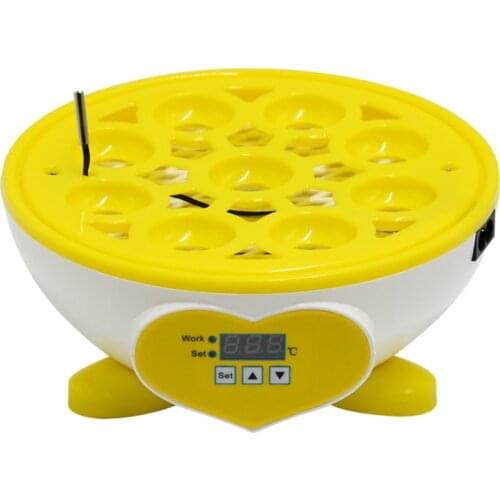 Товары для животных Aihogard China At AliExpress