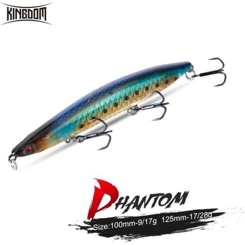 Kingdom Floating Sinking Pencil Fishing Lures 100mm 125mm Surface Walking-Dog Design Far Casting Wobblers Saltwater Hard Bait