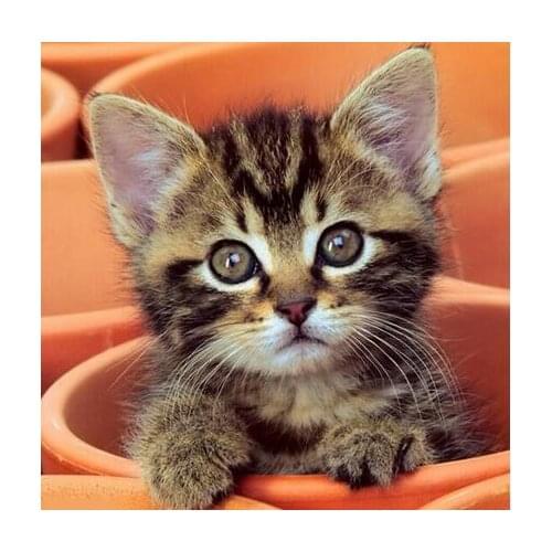 5D Diy Diamond Painting Cat Diamond Embroidery Rhinestone Animals Diamond Mosaic Cross Stitch Pattern Square Drill Resin Decora