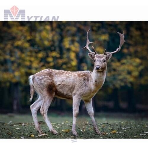 5D DIY Diamond PaintingDeer in Forest Embroidery Full Square Round Diamond Cross Stitch Rhinestone Mosaic Animal Picture Decor