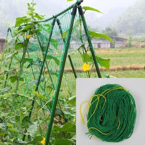 Durable Nylon Vegetables Grow Trellis Net multi-strand Vine Cucumber bean planting net for climbing plants