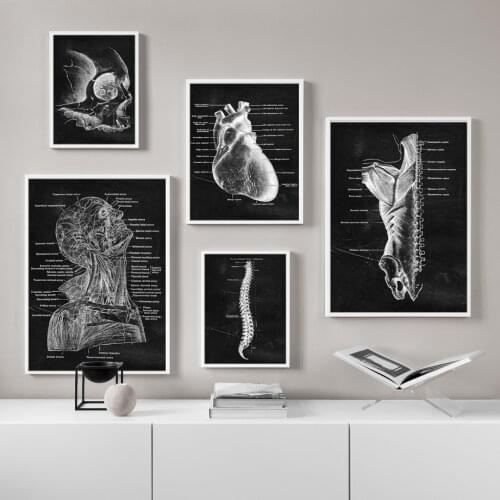 Anatomy Art Human Heart vertebral skeleton Wall Art Print Canvas Painting Nordic Poster Wall Pictures For Doctor Office Decor