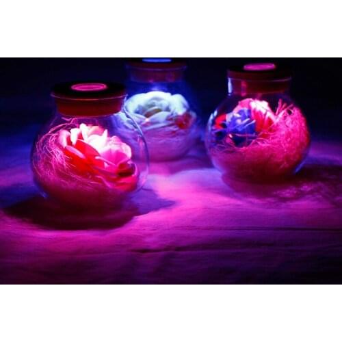 SAN DING XING LED Bottles