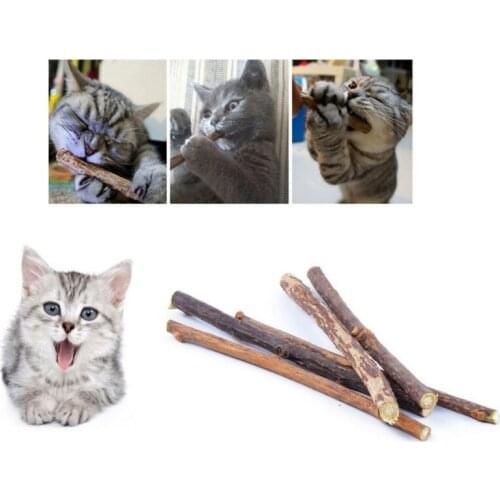 Pure Natural Catnip Pet Cat Toy Cat Snacks Sticks Molar Toothpaste Wood Polygonum Sticks Branch Cleaning Teeth 10/15/20pcs/Lot