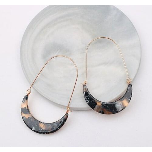 New Arrive Acrylic Earrings Sexy Woman Long Leopard Acetate Earrings for Women Geometric Dangle Earrings Fashion Jewelry Gift