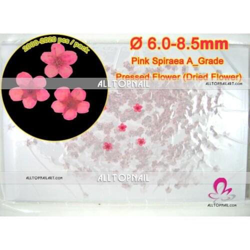 Pink spiraea dry nail art flowers 2020pcs bridal wreat nature dried pressed flower for pressed flower art - Free shipping
