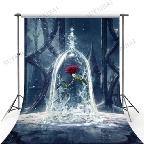 Photography Backdrop Rose In Crystal Jail 5x7 Black Iron Door Beauty and Beast Photo Backgrounds for Photographer Vinyl Backdrop