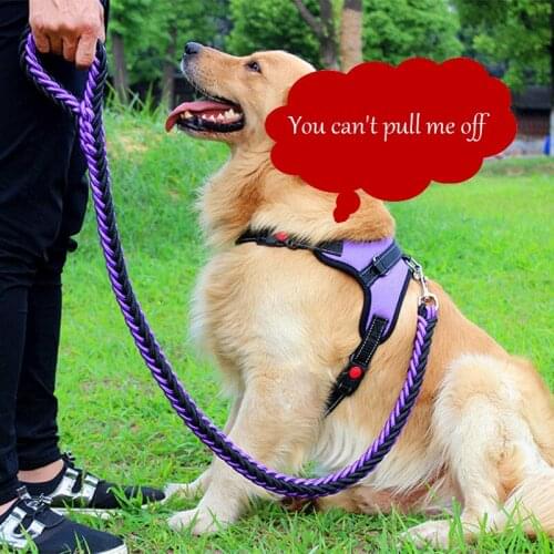 New chest vest dog collar leash husky golden retriever labrador dog walking explosion-proof bite