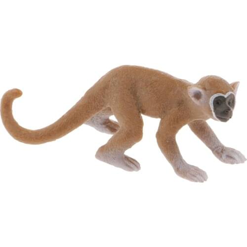 MagiDeal 1Pc Realistic Squirrel Monkey Wild Animal Figurine Model Action Figure Kids Toy Home Office Desk Decor