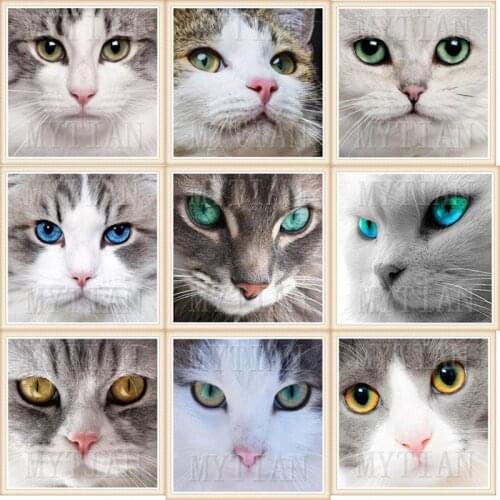 Diamond Painting cat Animal Picture Rhinestones Embroidery Full square/round Display Diamond Art home Decor new Years gift