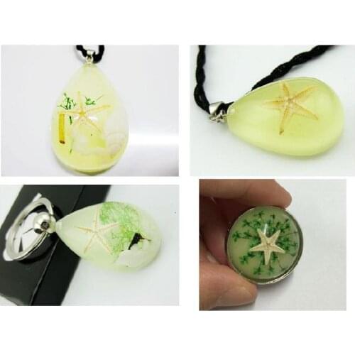FREE SHIPPING 4 PCS Real Charm Starfish Glow in Dark Cool Keychain Pendant Ring Star Fish Fine Novel Souvenirs Gift